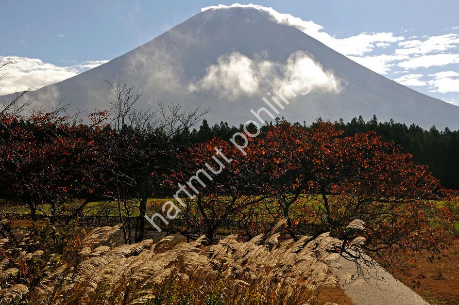 JAPAN-LANDSCAPE-FUJISAN11