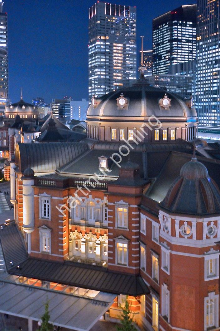 TATSUNO-KINGO-TOKYO-STATION21