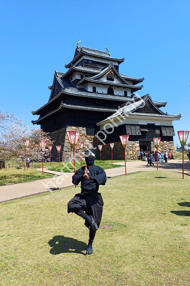 JAPANESE-CASTLE-MATSUE-JOU11