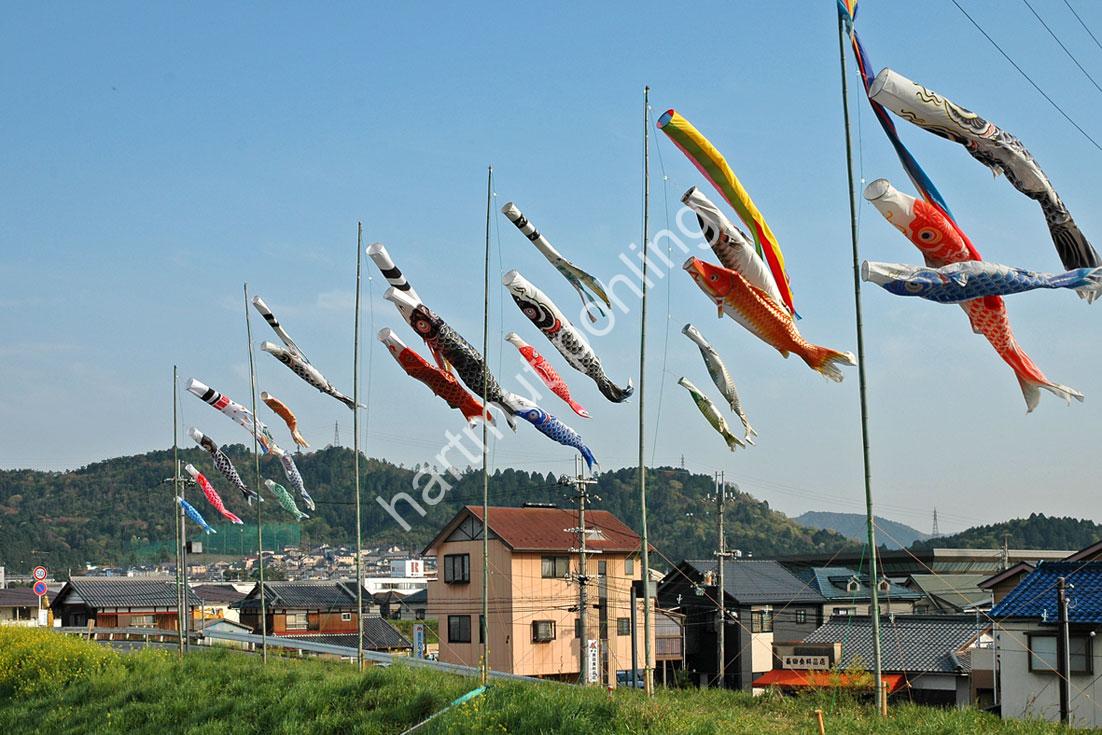 JAPAN-TRADITION-KOINOBORI-ISHIBE