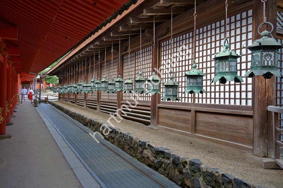JAPANESE-SHRINE-KASUGA-TAISHA08
