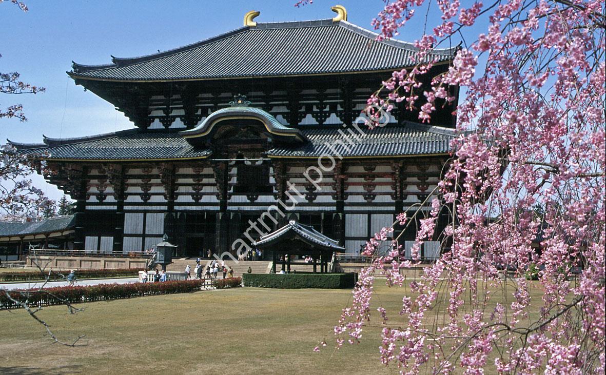 JAPANESE-TEMPLE-TODAI-JI02