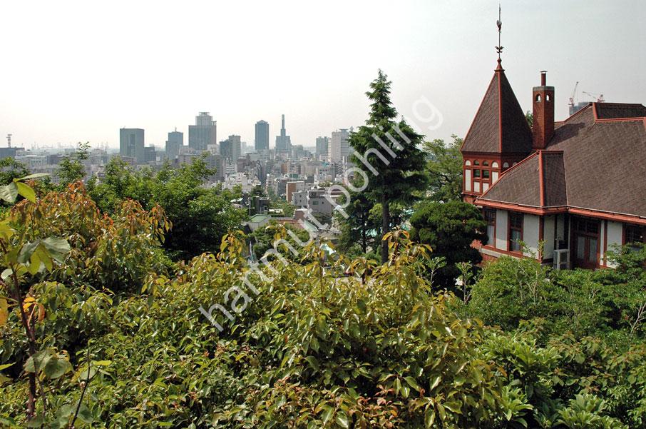 DE-LALANDE-GEORGE-WEATHER-COCK-HOUSE