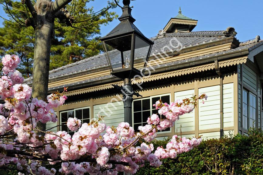 KATAYAMA-TOKUMA-JAPAN-RED-CROSS-HOSPITAL