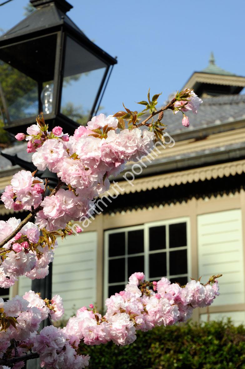 KATAYAMA-TOKUMA-JAPAN-RED-CROSS-HOSPITAL06