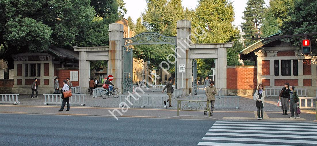 ITO-CHUTA-SEIMON-TOKYO-UNIVERSITY03