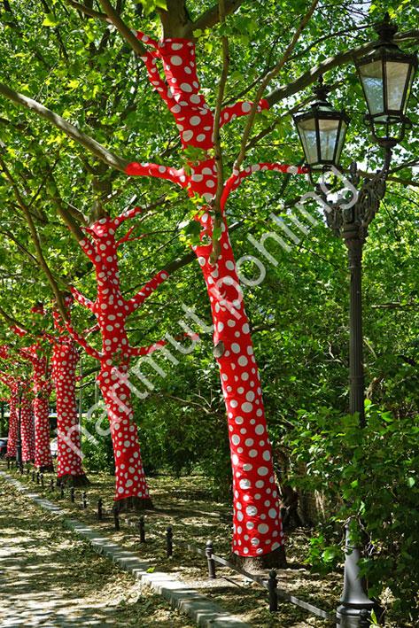 KUSAMA-YAYOI-POLKA-DOTS-ON-THE-TREES03