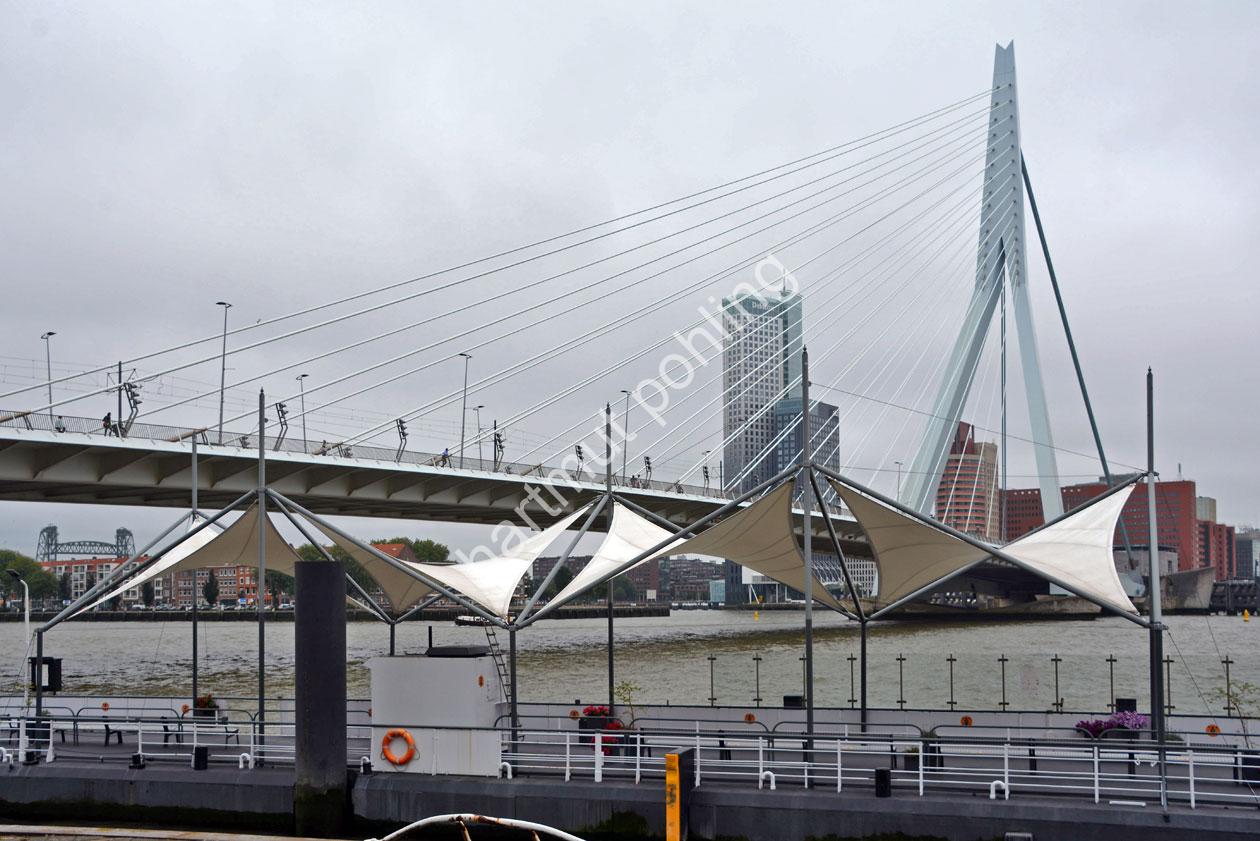 VAN-BERKEL-BEN-ERASMUS-BRIDGE