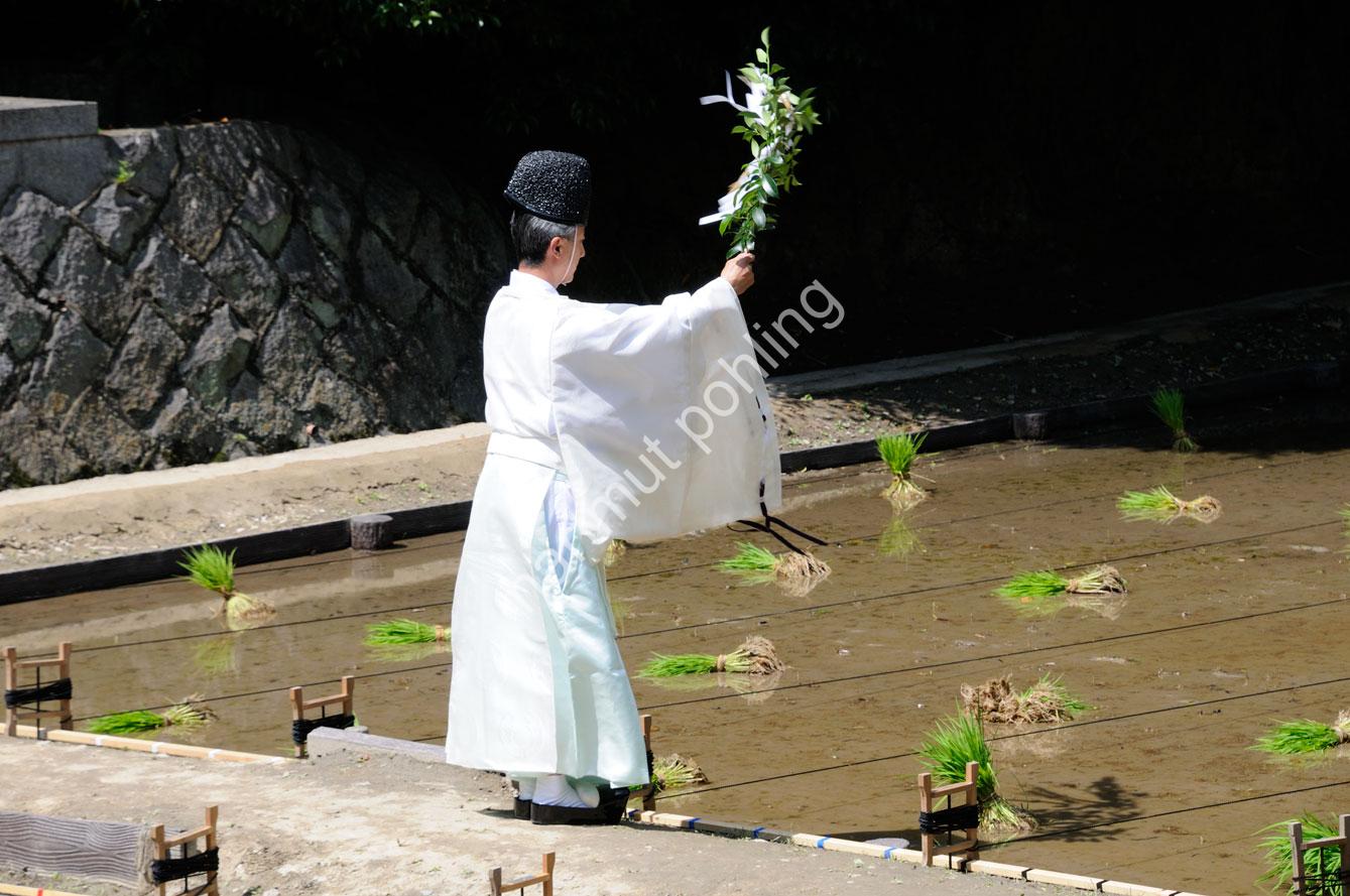 JAPAN-TRADITION-RICE-PLANTING-FESTIVAL06