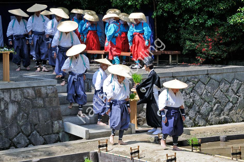 JAPAN-TRADITION-RICE-PLANTING-FESTIVAL07