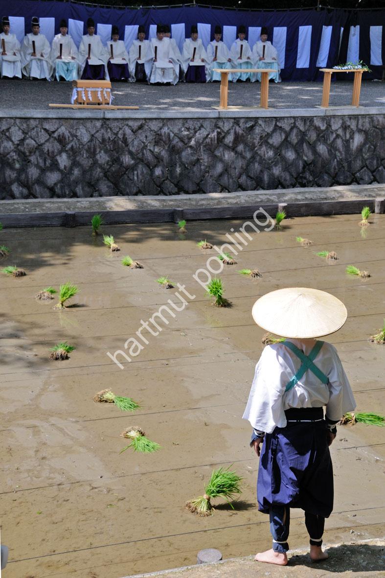 JAPAN-TRADITION-RICE-PLANTING-FESTIVAL09