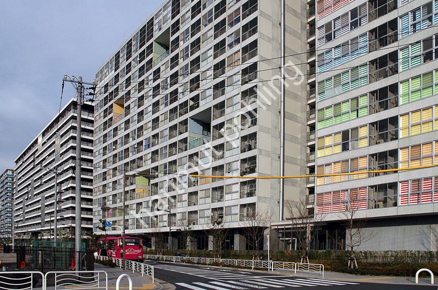 YAMAMOTO-RIKEN-SHINONOME-CODAN02