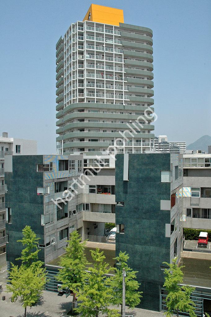 HOLL-STEVEN-NEXUS-WORLD03