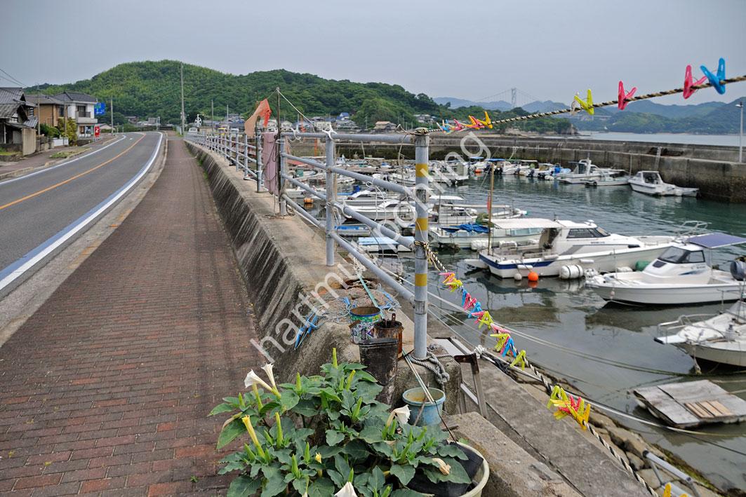 JAPAN-TRAVEL-SHIMANAMI-KAIDO02-MUKAISHIMA08
