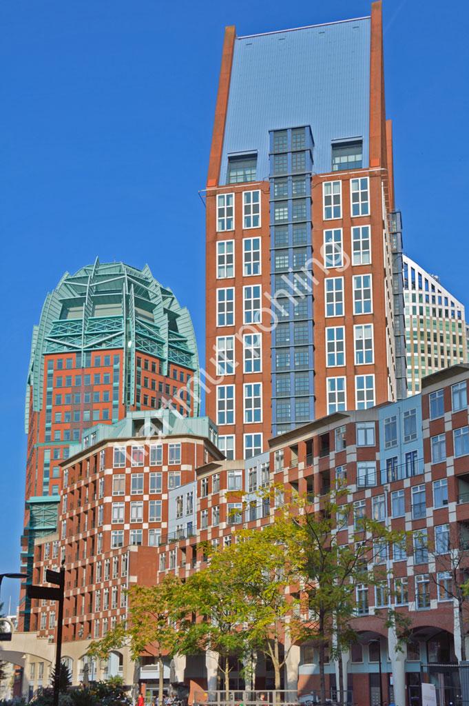 GRAVES-MICHAEL-CASTALIA-THE-HAGUE02