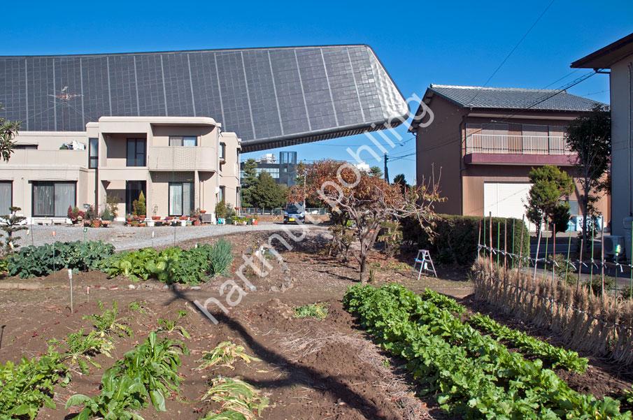 EXHIBITION-SOLAR-ARK-GIFU14
