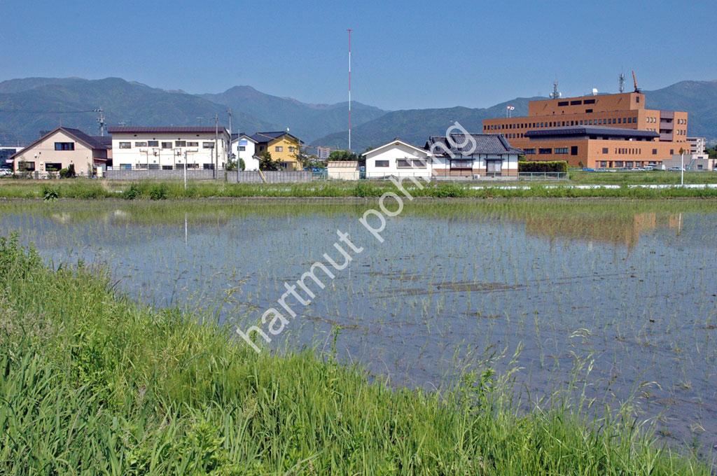 JAPAN-STADT-MATSUMOTO-RICE-FIELD