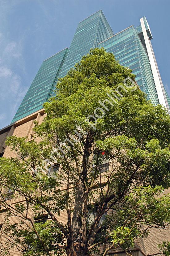 NIKKEN-SEKKEI-IZUMI-GARDEN-TOWER06