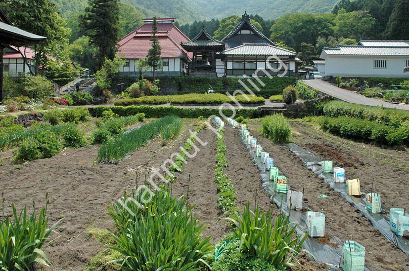 JAPANESE-TEMPLE-GANSHO-IN02