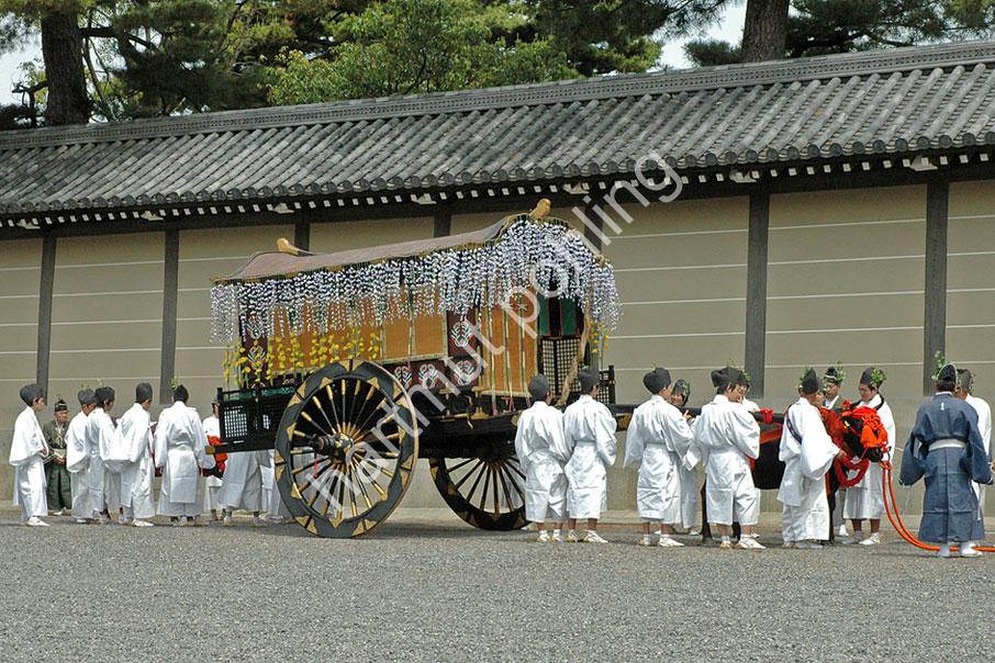 JAPAN-MATSURI-AOI