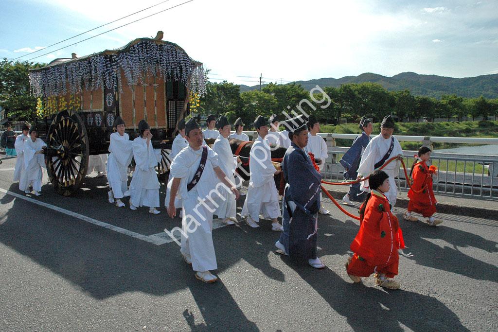 JAPAN-MATSURI-AOI25