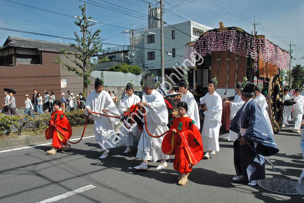 JAPAN-MATSURI-AOI42
