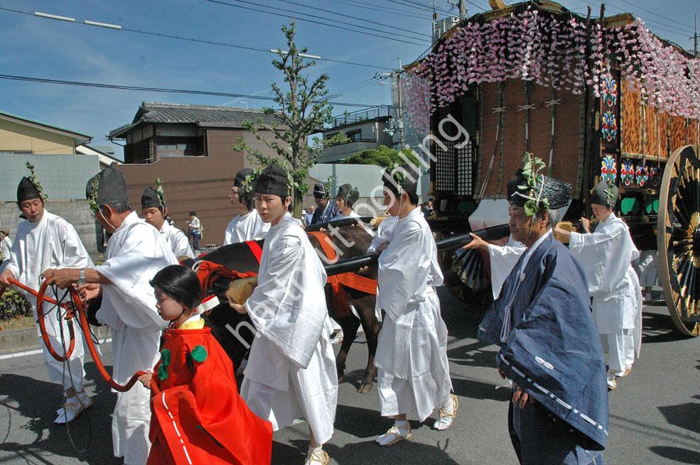 JAPAN-MATSURI-AOI43