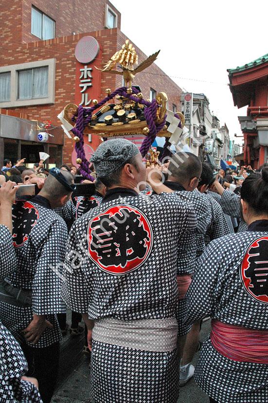 JAPAN-MATSURI-SANJA-FESTIVAL06