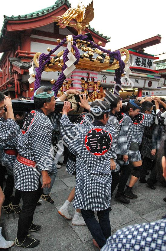 JAPAN-MATSURI-SANJA-FESTIVAL07