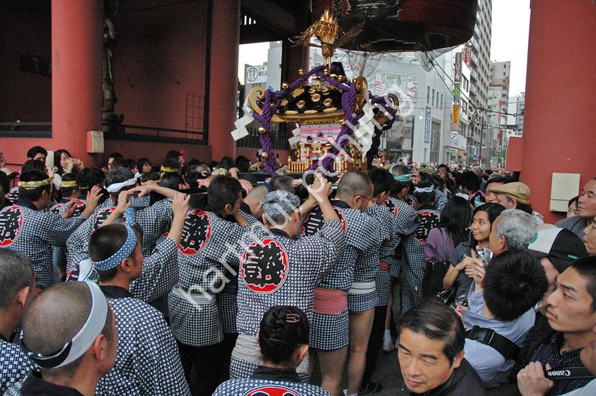 JAPAN-MATSURI-SANJA-FESTIVAL10