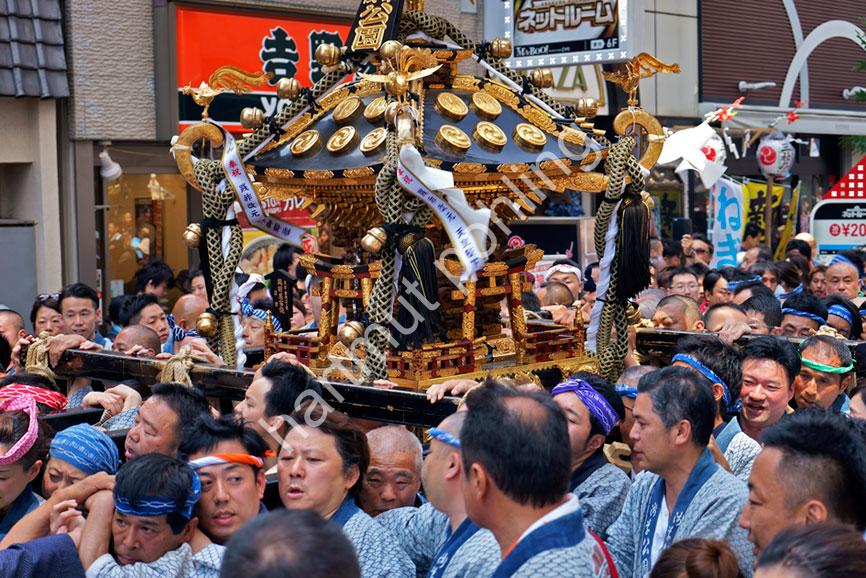 JAPAN-MATSURI-SANJA-FESTIVAL22