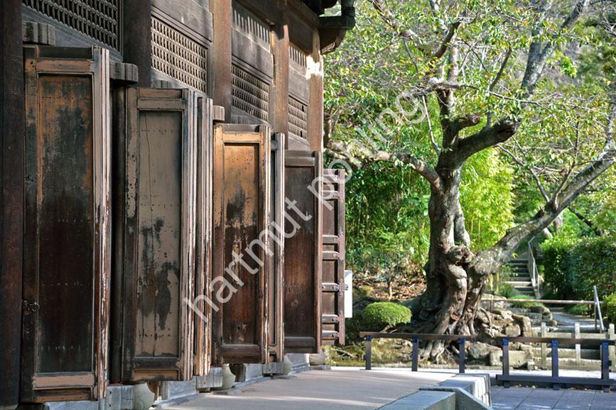 JAPANESE-TEMPLE-KENCHO-JI-BUTSUDEN02