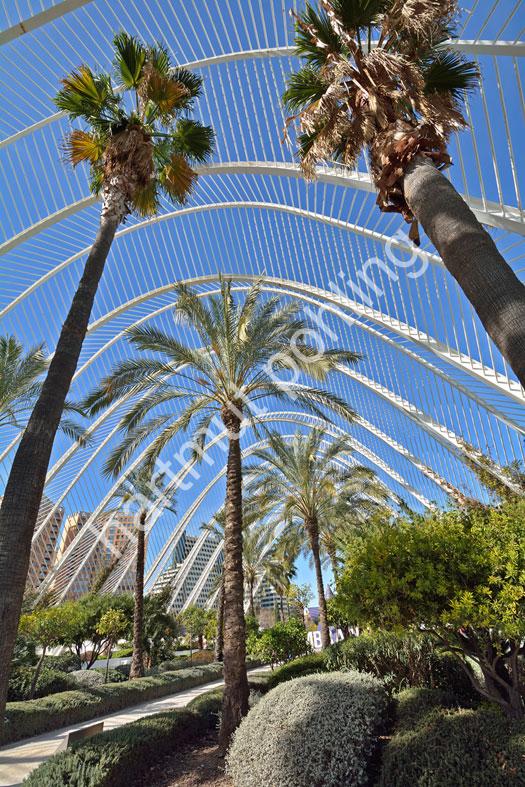 CALATRAVA-SANTIAGO-UMBRACLE-VALENCIA02