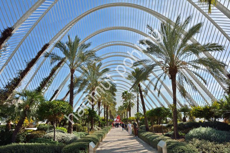 CALATRAVA-SANTIAGO-UMBRACLE-VALENCIA06