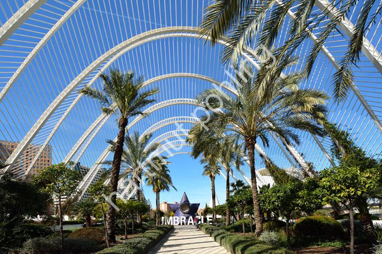 CALATRAVA-SANTIAGO-UMBRACLE-VALENCIA07