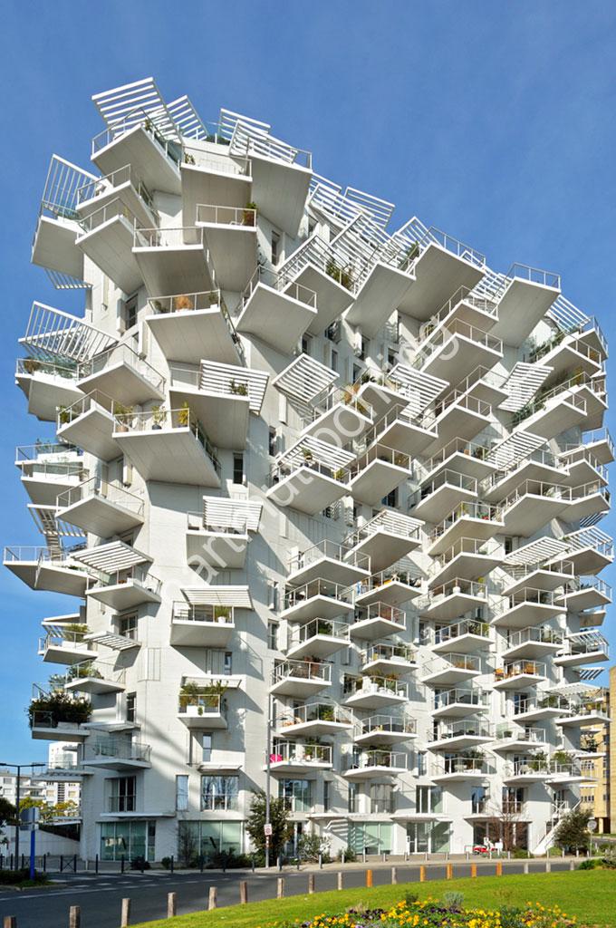FUJIMOTO-SOU-ARBRE-BLANC-MONTPELLIER02