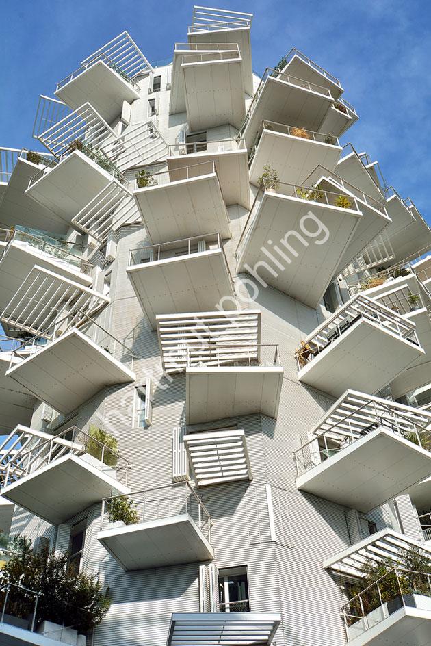 FUJIMOTO-SOU-ARBRE-BLANC-MONTPELLIER03
