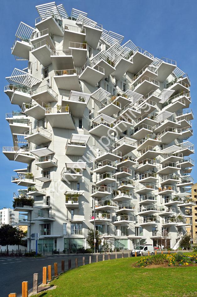 FUJIMOTO-SOU-ARBRE-BLANC-MONTPELLIER04
