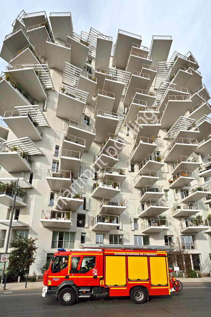 FUJIMOTO-SOU-ARBRE-BLANC-MONTPELLIER05