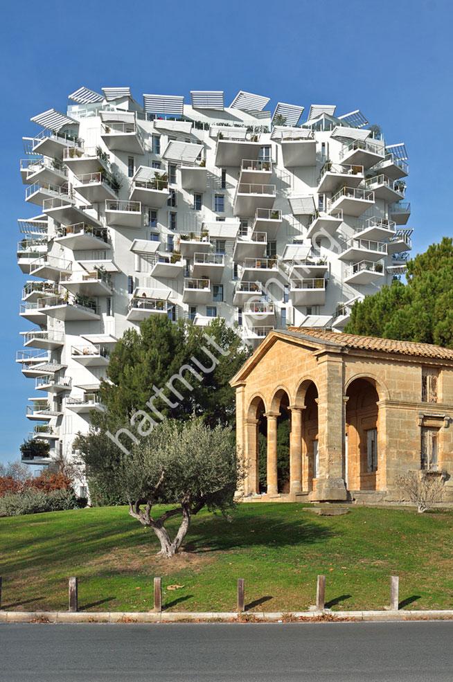 FUJIMOTO-SOU-ARBRE-BLANC-MONTPELLIER06