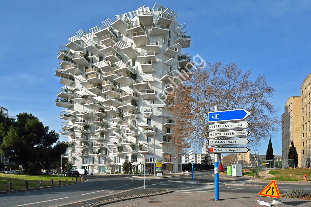 FUJIMOTO-SOU-ARBRE-BLANC-MONTPELLIER07