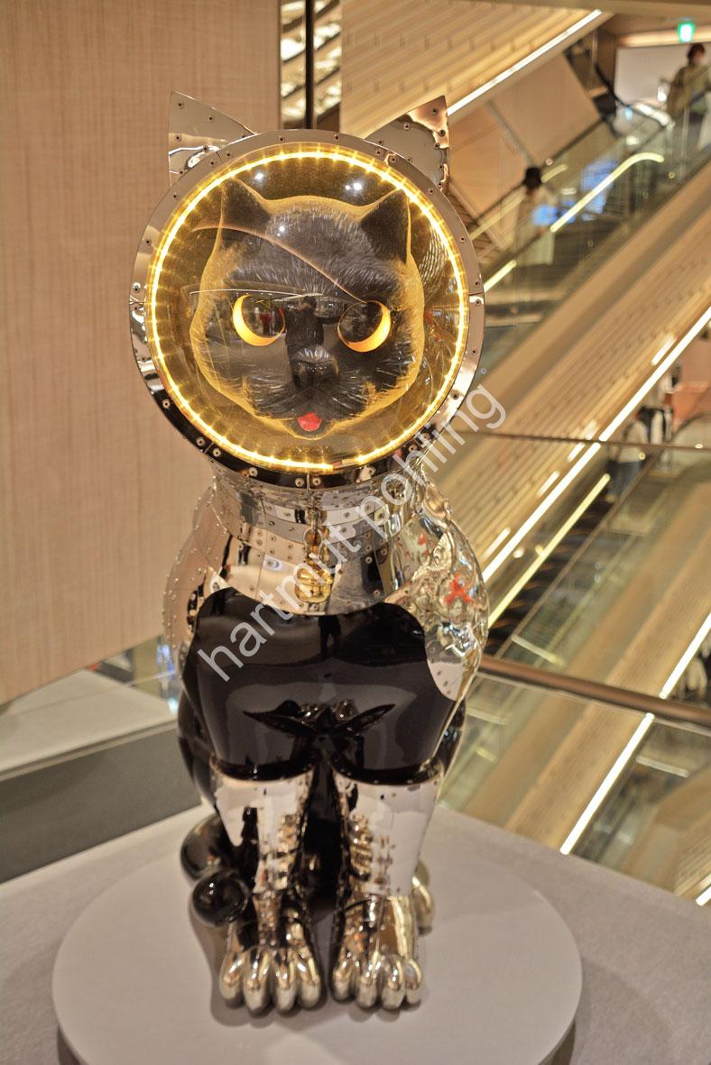 YANOBE-KENJI-SHIPS-CAT-BLACK02