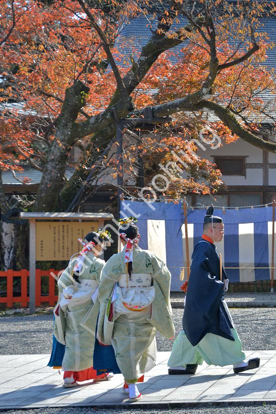 JAPANESE-SHRINE-KUMANO-NACHI-TAISHA07