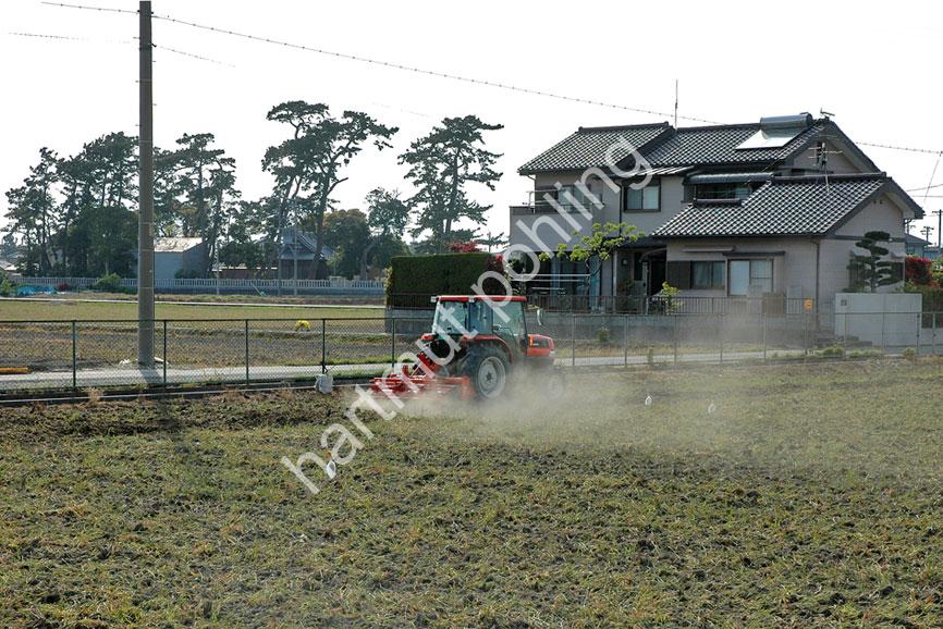JAPAN-STADT-HAMAMATSU-RICE-FIELD