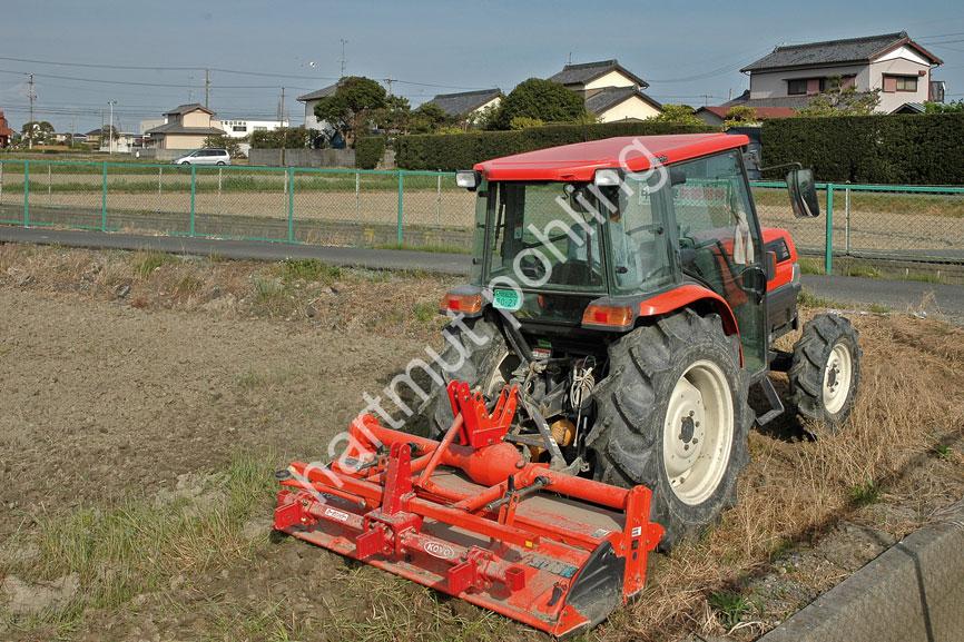 JAPAN-STADT-HAMAMATSU-RICE-FIELD02