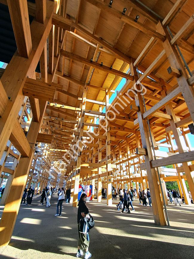 FUJIMOTO-SOU-EXPO2025-GRAND-RING06