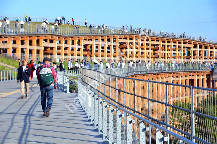 FUJIMOTO-SOU-EXPO2025-GRAND-RING15