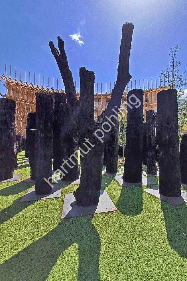 JAPAN-EXPO2025-FOREST-OF-CIVILIZATIONS