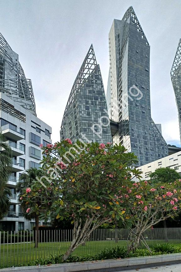 LIBESKIND-DANIEL-CORALS-AT-KEPPEL-BAY07