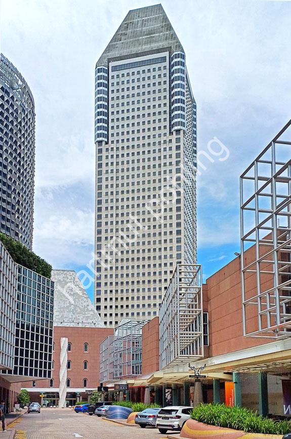 ROCHE-KEVIN-MILLENIA-TOWER-SINGAPORE